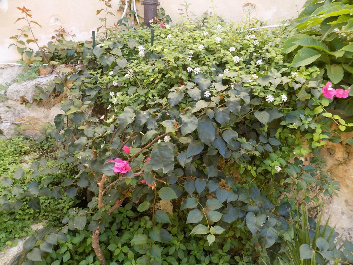 Garden&House Amore Vero Modica Eksteriør billede
